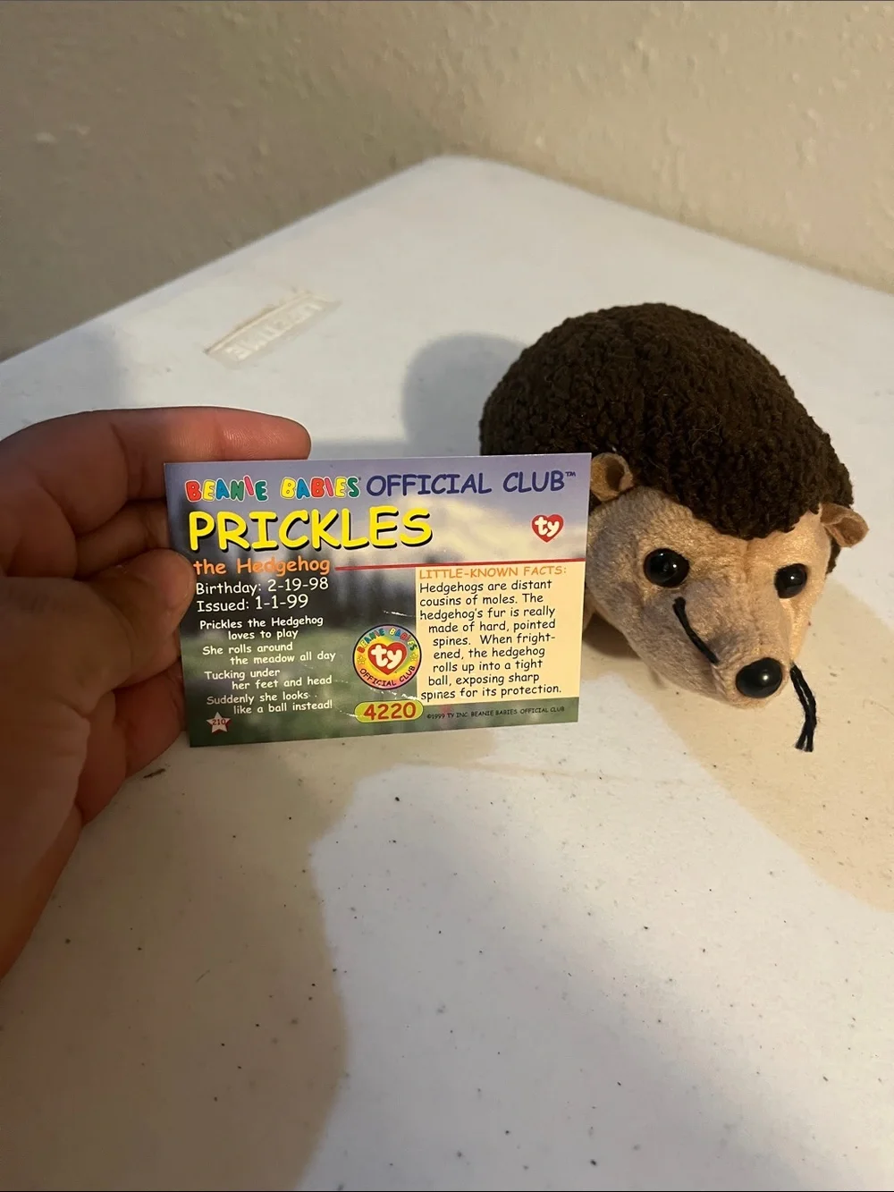 Ty Price the Hedgehog Plush - Brown, Tan